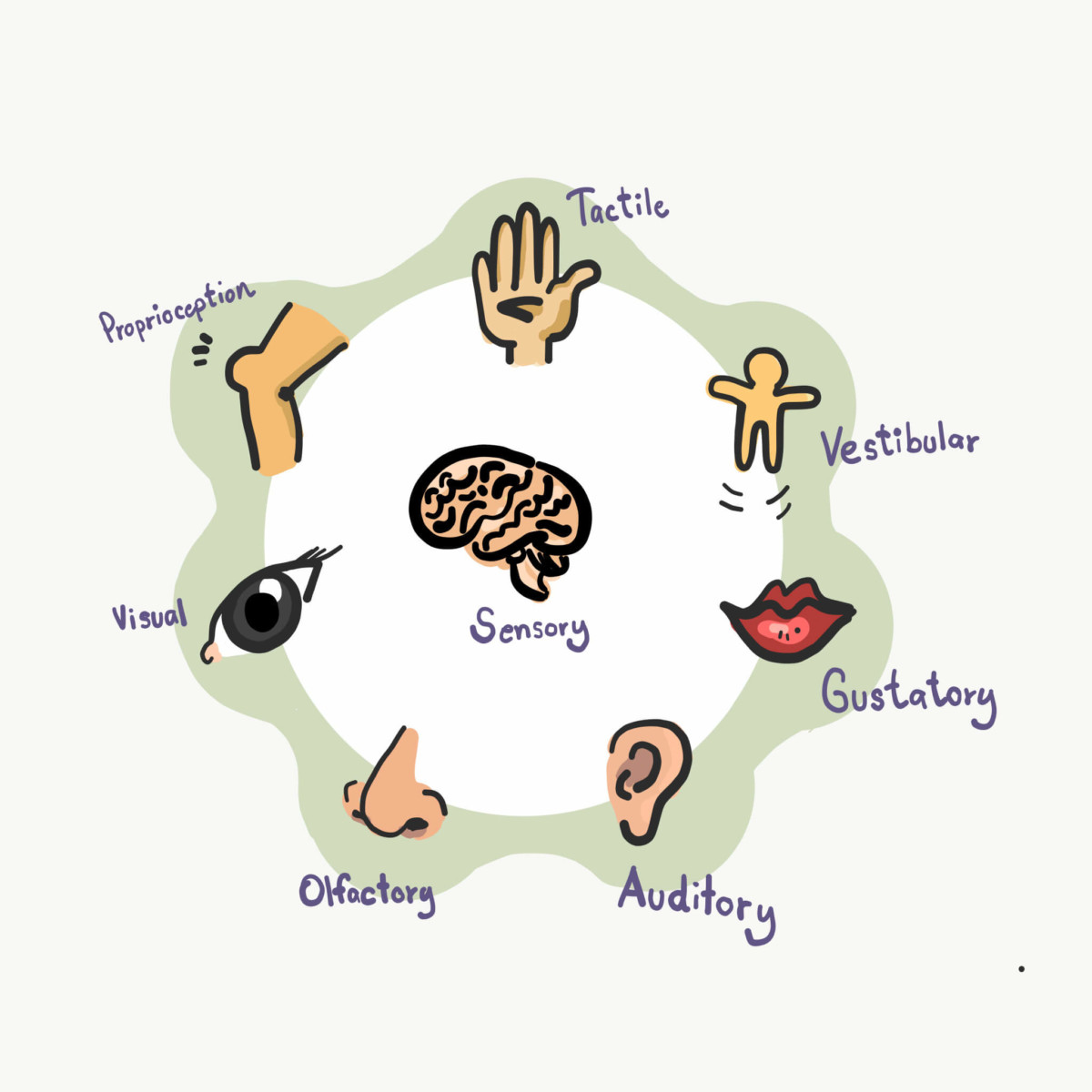 Infographic showing seven of the eight sensory systems that send information to the central nervous system